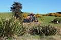 Old barn still stands Royalty Free Stock Photo