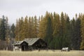 Old barn by trees. Royalty Free Stock Photo