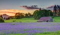 Old Barn in the Willamette Valley Royalty Free Stock Photo