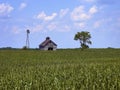 Old barn with a windmill  in the middle of a corn field in illinois Royalty Free Stock Photo