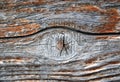 Old Barn Wood Floor Background Texture Royalty Free Stock Photo