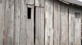 An old barn wood side view revealing layers of cracks and holes Royalty Free Stock Photo