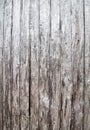 Old barn wood texture Royalty Free Stock Photo