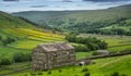 The old barns in Swaledale Royalty Free Stock Photo