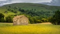 The old barns in Swaledale Royalty Free Stock Photo