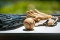 Old baseball ball, mitt and batting gloves, copy space Royalty Free Stock Photo