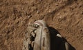 Old baseball glove with ball on field dirt Royalty Free Stock Photo