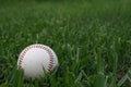 Old Baseball in the green grass Royalty Free Stock Photo