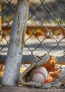 An old baseball mitt and ball Royalty Free Stock Photo