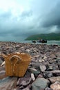 Old basket on the seashore