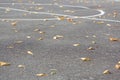 Old basketball court with fall leaves