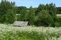 Old bathhouse on the outskirts of the village Menshikov Yaroslavl region