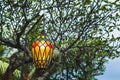 Old beautiful hanging lamp outside in cafe garden made from stained glass