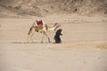 Old bedouin woman with camel in the desert Royalty Free Stock Photo