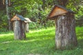 Old bee-garden making in tree stump on green grass Royalty Free Stock Photo