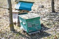 Old bee hives in the apiary in the spring. Royalty Free Stock Photo