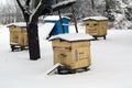 Old bee hives in winter. Royalty Free Stock Photo