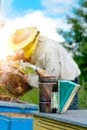 Old bee smoker. The beekeeper works on apiary near the hives. Beekeeping tool. Apiculture. Royalty Free Stock Photo