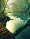 Old beech trees above clear water of mountain river. Big mossy sandstone boulders lay in water. First leaves turn to yellow and or Royalty Free Stock Photo