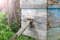 Old beehive with bees. Close-up. Sunbeams. Morning at the apiary. Royalty Free Stock Photo