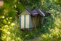 Neglected beehives located in an old orchard