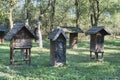 Old beehives in an old orchard with large trees