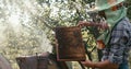 The old beekeeper is holding the honecomb on the wooden frame with bees in front of bee smoker. RED camera shot. 4k