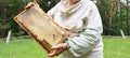 Old beekeeper holding wooden frame with honeycombs and honey bees panoramic photo. Raw honey honeycomb for sale Royalty Free Stock Photo