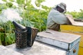 Old Beekeeper Smoker smokes white smoke. Apiary background. Grungy smoker stands on the hive. Beekeeping apiary - work at the