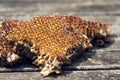 Old bees honeycomb on wooden table on sunny day