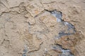 Old beige gray heavily damaged concrete wall with cracks and peeling paint. rough surface texture Royalty Free Stock Photo