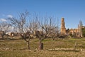 Old Belchite Royalty Free Stock Photo