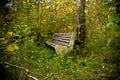 An old bench in an abandoned overgrown park Royalty Free Stock Photo