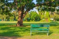 An old bench on grass and big tree background. Royalty Free Stock Photo