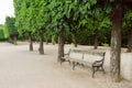 Old bench in the park with green trees Royalty Free Stock Photo