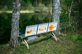 An old bench on the shore of a small picturesque pond Royalty Free Stock Photo