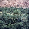 Old Berber village in the Atlas mountains