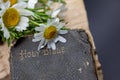 Old Bible, rosemary, wild flowers