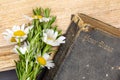 Old Bible, rosemary, wild flowers