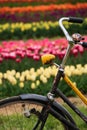 Old bicycle with blurred tulips in background Royalty Free Stock Photo