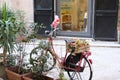 Old bicycle with a box of flowers Royalty Free Stock Photo