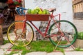 Old bicycle with the box of flowers Royalty Free Stock Photo