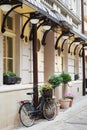 Old bicycle carrying flowers and tree in flower pot Royalty Free Stock Photo