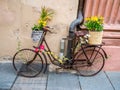 Old bicycle for decoration in spring Royalty Free Stock Photo