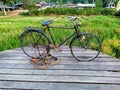 An old bicycle that is displayed and becomes a memory