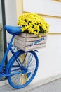 Old bicycle with flowers box Royalty Free Stock Photo