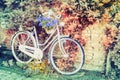 Old bicycle with flowers Royalty Free Stock Photo