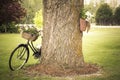 Old Bicycle with Flowers Leaning Against Tree Royalty Free Stock Photo