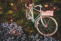 Old bicycle in the garden with flowers box Royalty Free Stock Photo