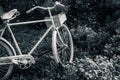 Old bicycle in the garden with flowers box Royalty Free Stock Photo